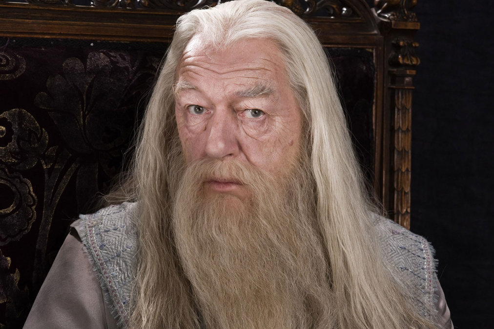 harry potter the secrets of dumbledore